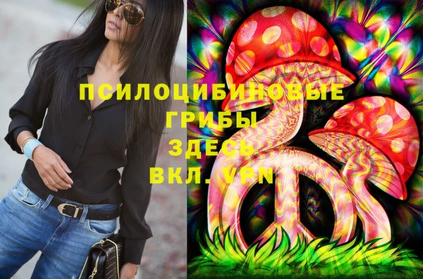 герыч Вяземский