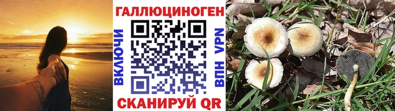 Галлюциногенные грибы прущие грибы  Купить закладки  Ступино 